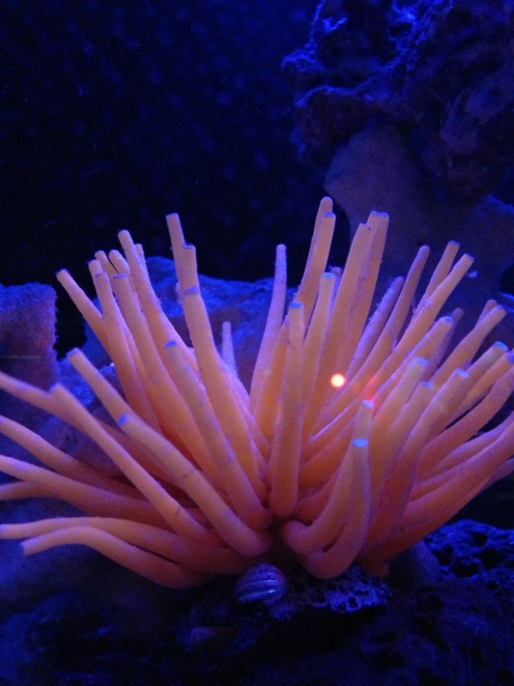 20121111-181458.jpg