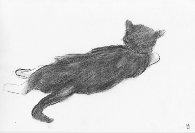 20130404-080700.jpg