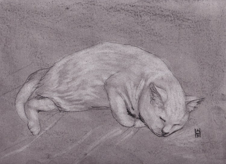 6/7/13 Daily Dose - Yuki sleeping