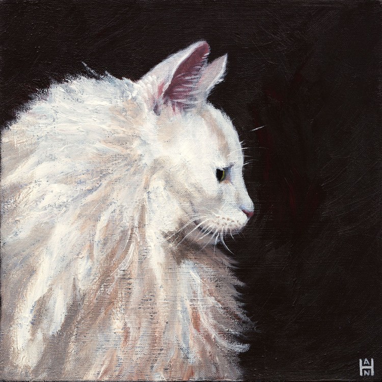 2016_06_White_Fluffy_Profile