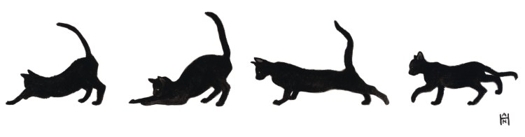 black-kittens-cropped