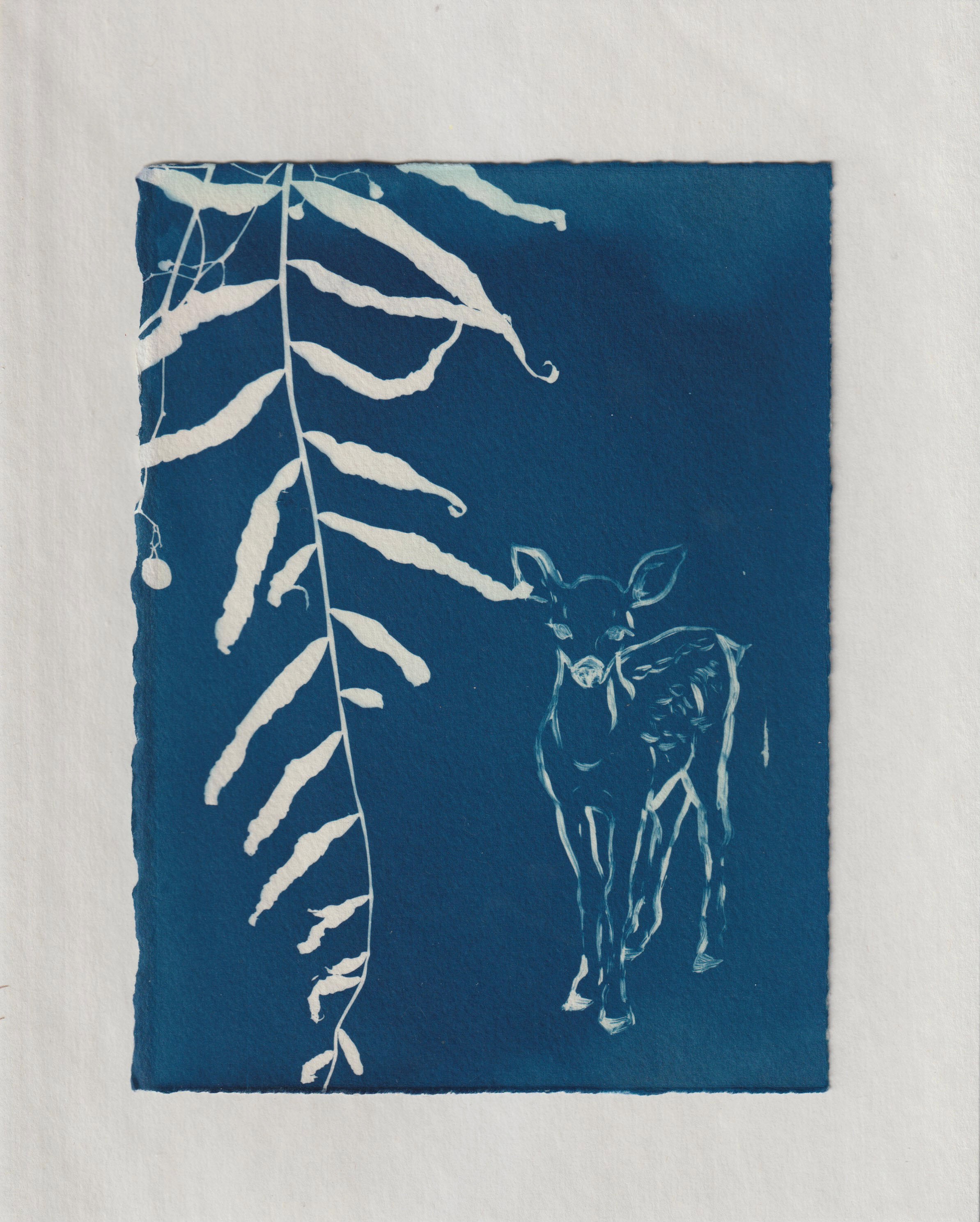 Fawn and Pepper Tree – Stephanie Han Art & Design