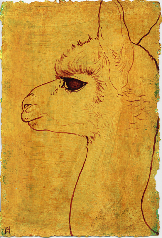 Alpaca Profile, acrylic on paper, 8" x 12"