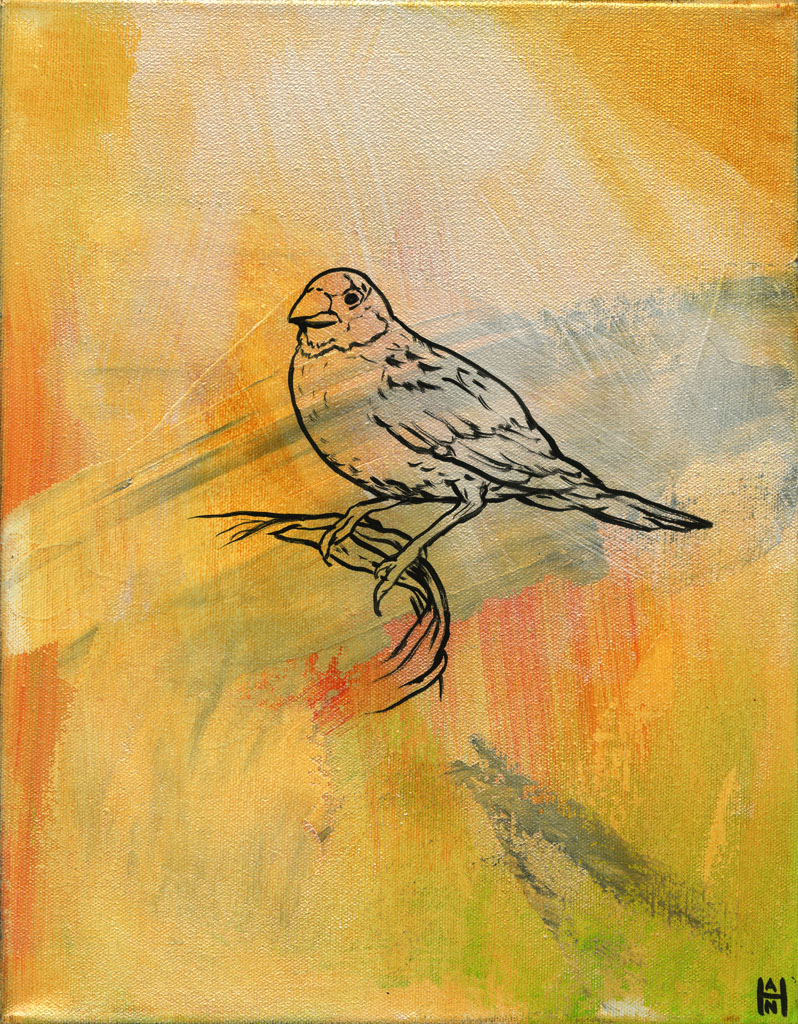 Finches 1 - Matriarch