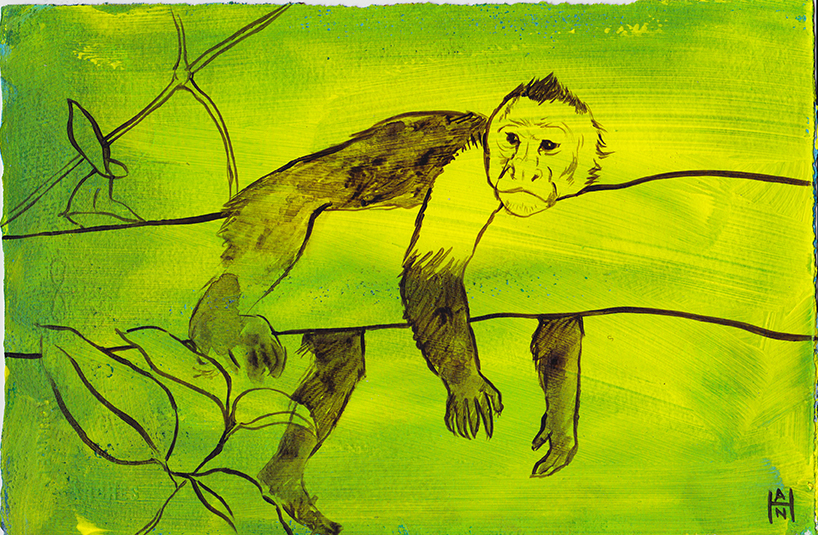 Cappuchin, acrylic on paper, 8" x 12"