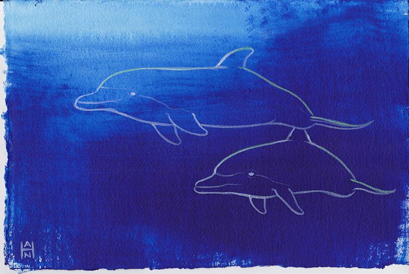 Dolphin Duo, acrylic on paper, 8" x 12"