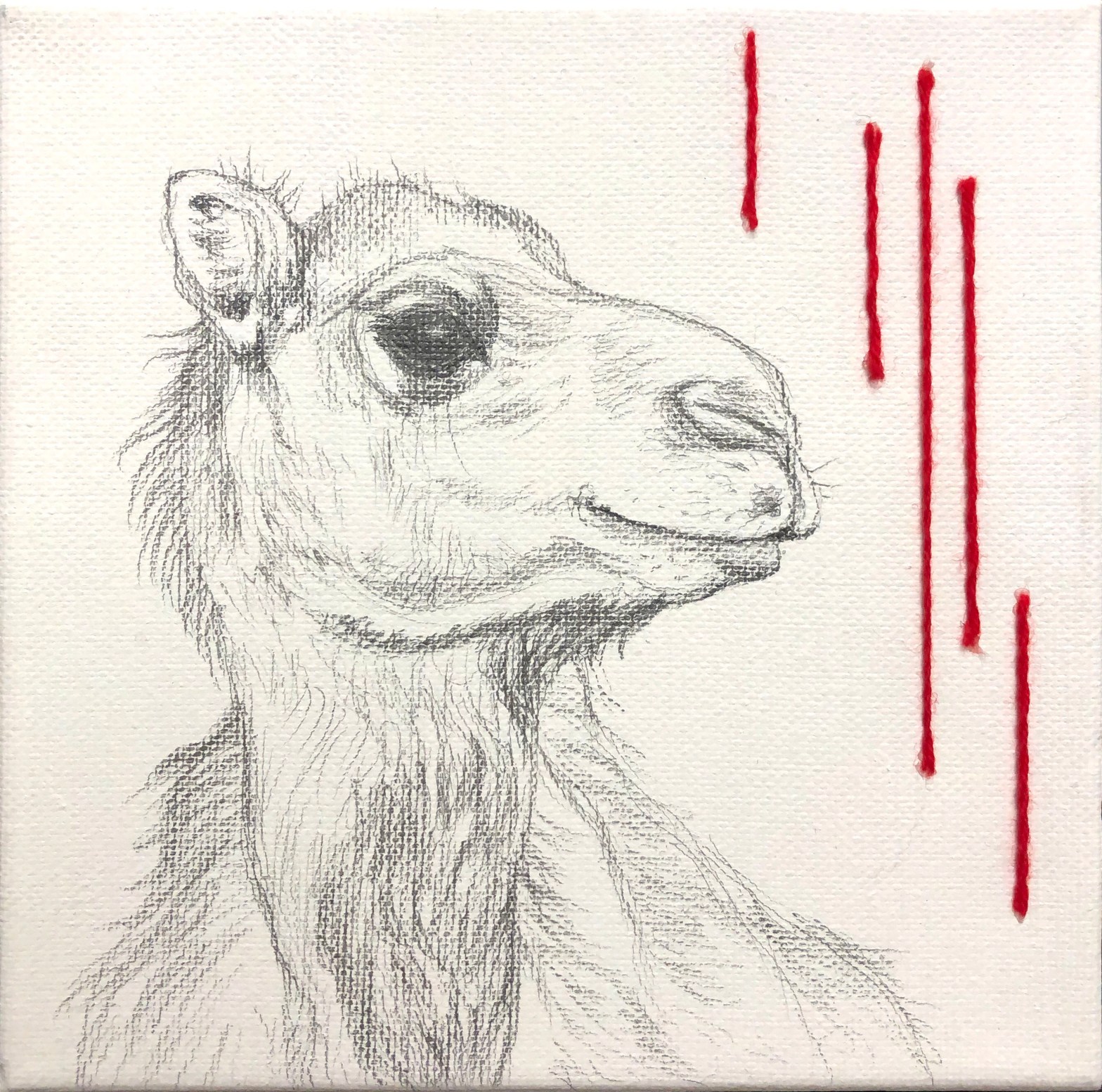 "Camel", Graphite and yarn on canvas,6x6, $125