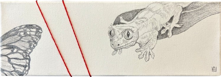 "Gecko and Monarch", Graphite and yarn on canvas, 4x12